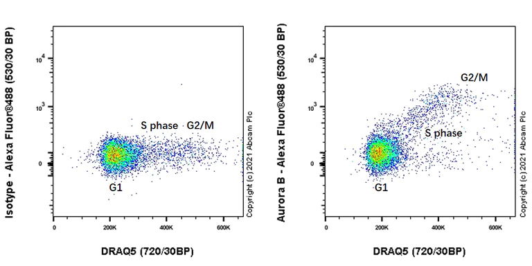 Flow Cytometry (Intracellular) - Anti-Aurora B antibody [EPR25417-73] - BSA and Azide free (AB287965)
