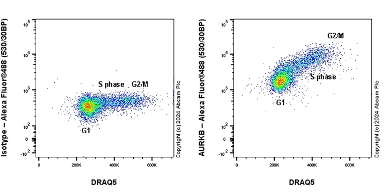 Flow Cytometry (Intracellular) - Anti-Aurora B antibody [RM1185] (AB317584)