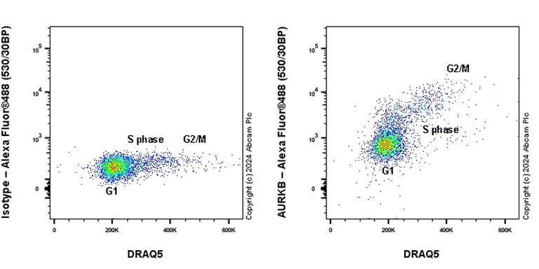 Flow Cytometry (Intracellular) - Anti-Aurora B antibody [RM1185] (AB317584)