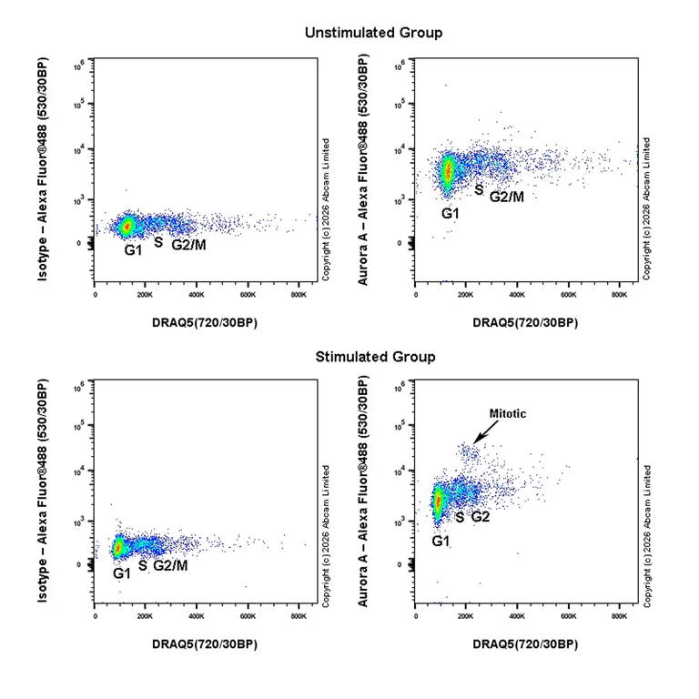 Flow Cytometry (Intracellular) - Anti-Aurora kinase A (phospho T288) antibody [EPR28759-80] (AB324635)