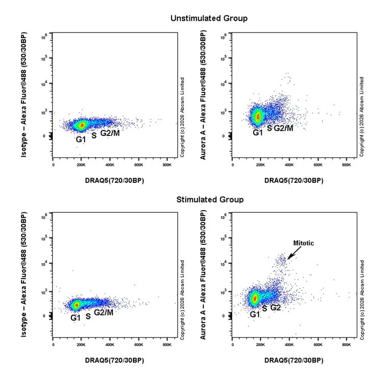 Flow Cytometry (Intracellular) - Anti-Aurora kinase A (phospho T288) antibody [EPR28759-80] (AB324635)