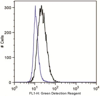 Flow Cytometry - Autophagy Assay Kit (AB139484)