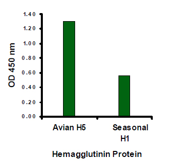 ELISA - Anti-Avian Influenza A Hemagglutinin antibody (AB21297)