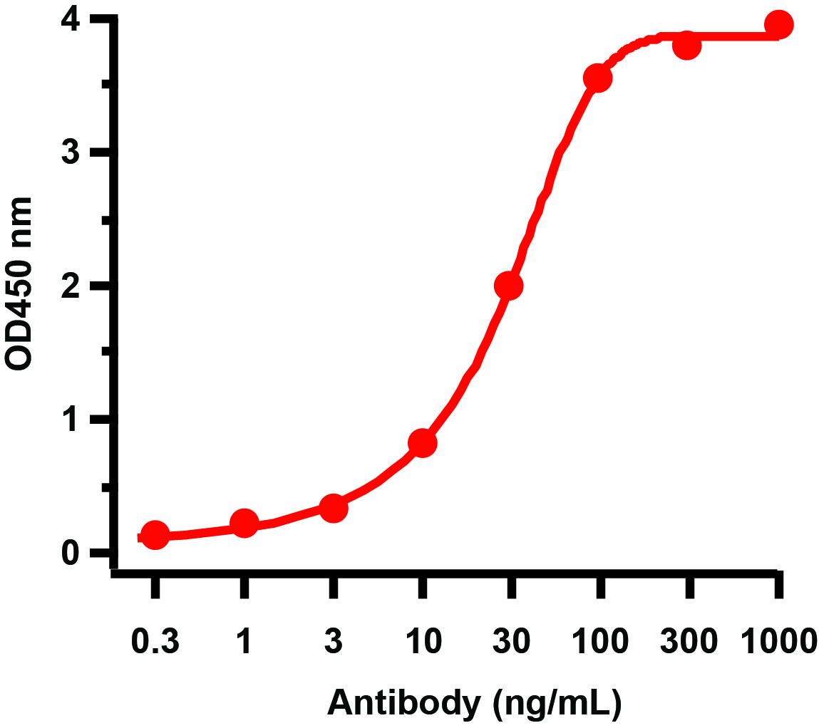 ELISA - Anti-Avian Influenza A Hemagglutinin antibody (AB62490)