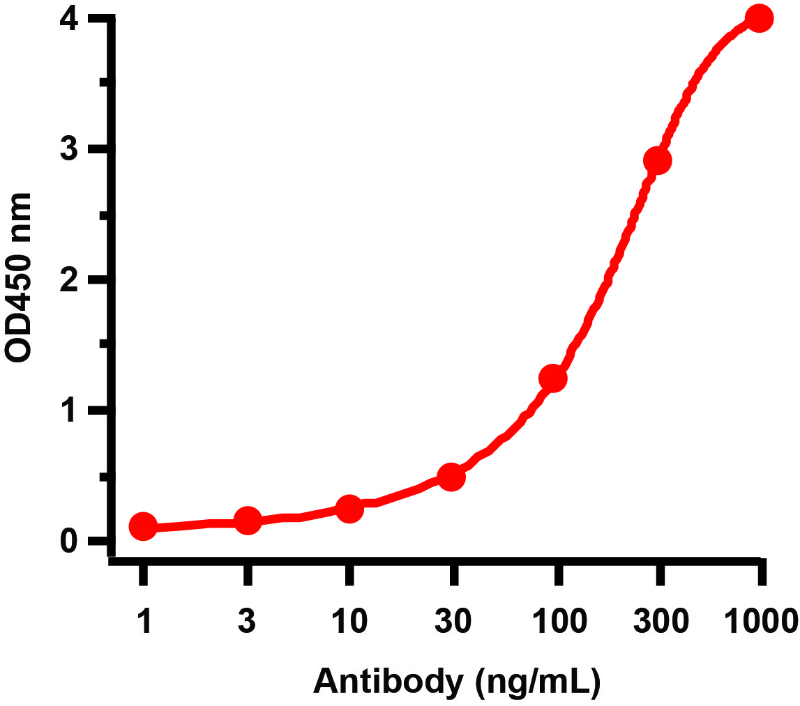 ELISA - Anti-Avian Influenza A Neuraminidase antibody (AB21304), expandable thumbnail