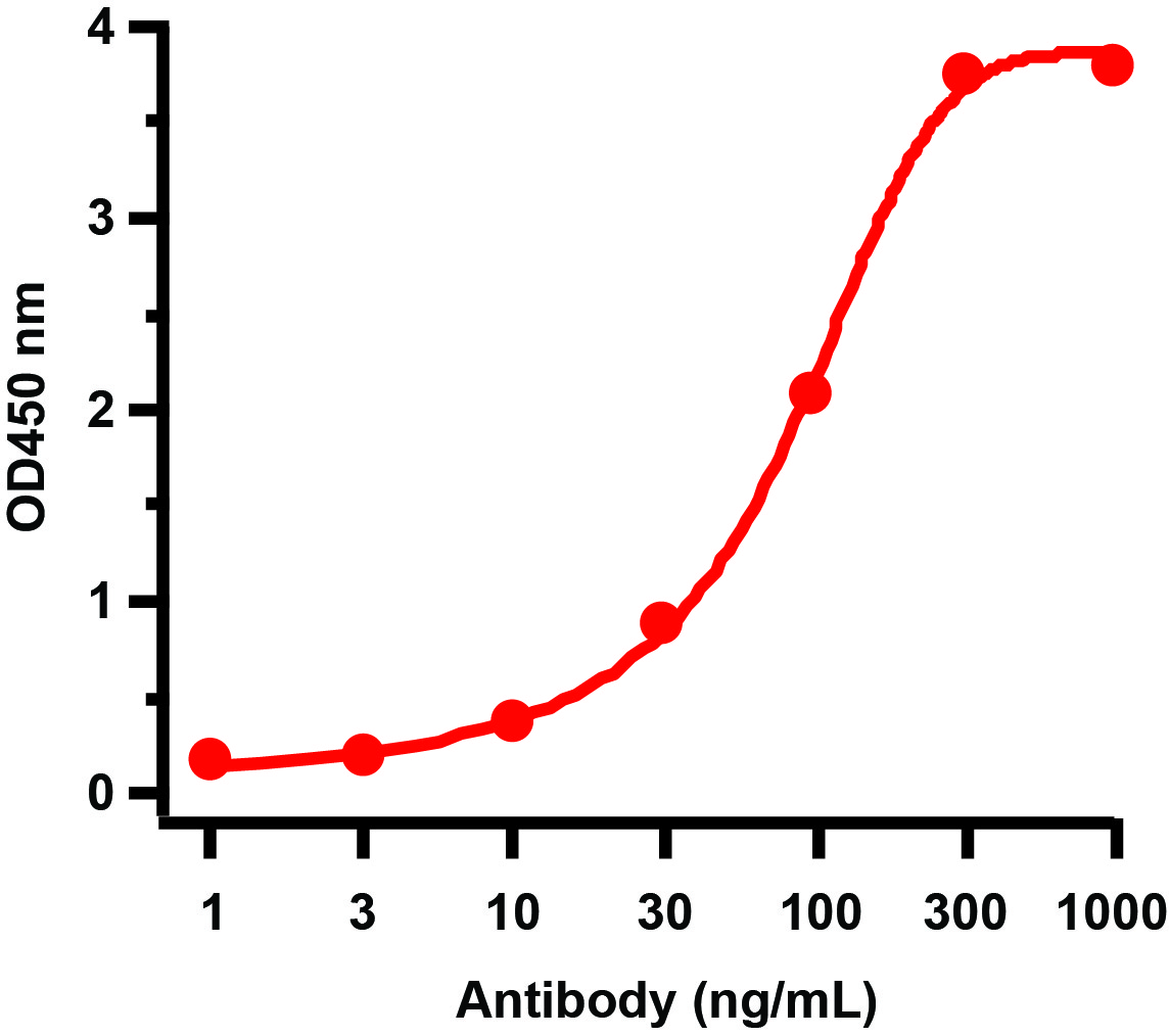 ELISA - Anti-Avian Influenza A Neuraminidase antibody (AB21305)