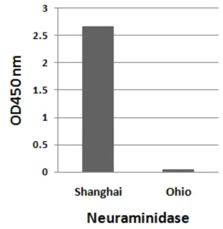 ELISA - Anti-Avian Influenza A Neuraminidase antibody - N-terminal (AB191862)