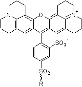 Chemical Structure - Avidin sulforhodamine 101 conjugate (Texas Red® Avidin equivalent) (AB275308)
