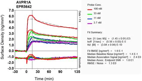 OI-RD Scanning - Anti-AVPR1A/V1aR antibody [EPR5642] (AB124907)
