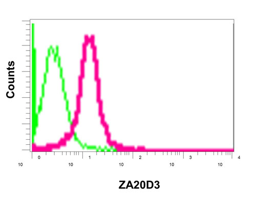 Flow Cytometry (Intracellular) - Anti-AWP1 antibody [EPR12323] - BSA and Azide free (AB250256), expandable thumbnail