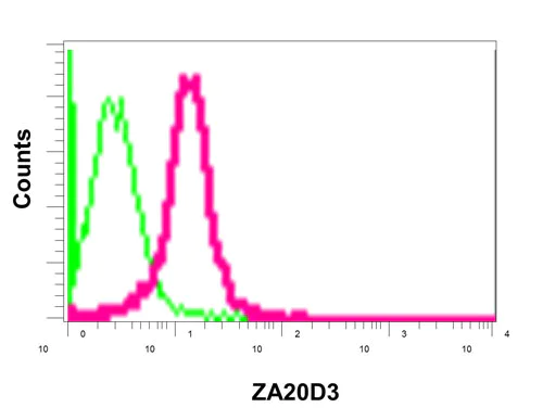 Flow Cytometry (Intracellular) - Anti-AWP1 antibody [EPR12323] - BSA and Azide free (AB250256)