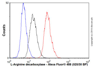Flow Cytometry (Intracellular) - Anti-AZIN2 antibody [EPR7124(2)] (AB157214)
