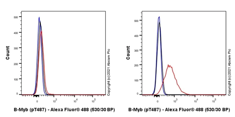 Flow Cytometry (Intracellular) - Anti-B MyB (phospho T487) antibody [EPR2204Y] (AB76009)