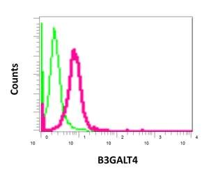 Flow Cytometry (Intracellular) - Anti-B3GALT4 antibody [EPR11650] - BSA and Azide free (AB249506)