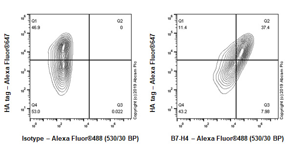 Flow Cytometry - Anti-B7H4 antibody [EPR20236-9] - BSA and Azide free (AB269460), expandable thumbnail