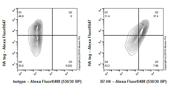 Flow Cytometry - Anti-B7H4 antibody [EPR20236-9] - BSA and Azide free (AB269460)