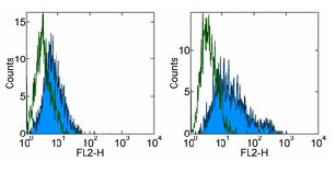 Flow Cytometry - Anti-B7H4 antibody [H74] - Low endotoxin, Azide free (AB171280)