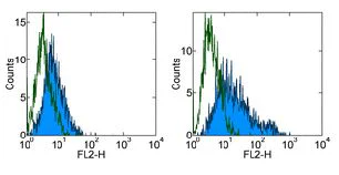 Flow Cytometry - Anti-B7H4 antibody [H74] - Low endotoxin, Azide free (AB171280)