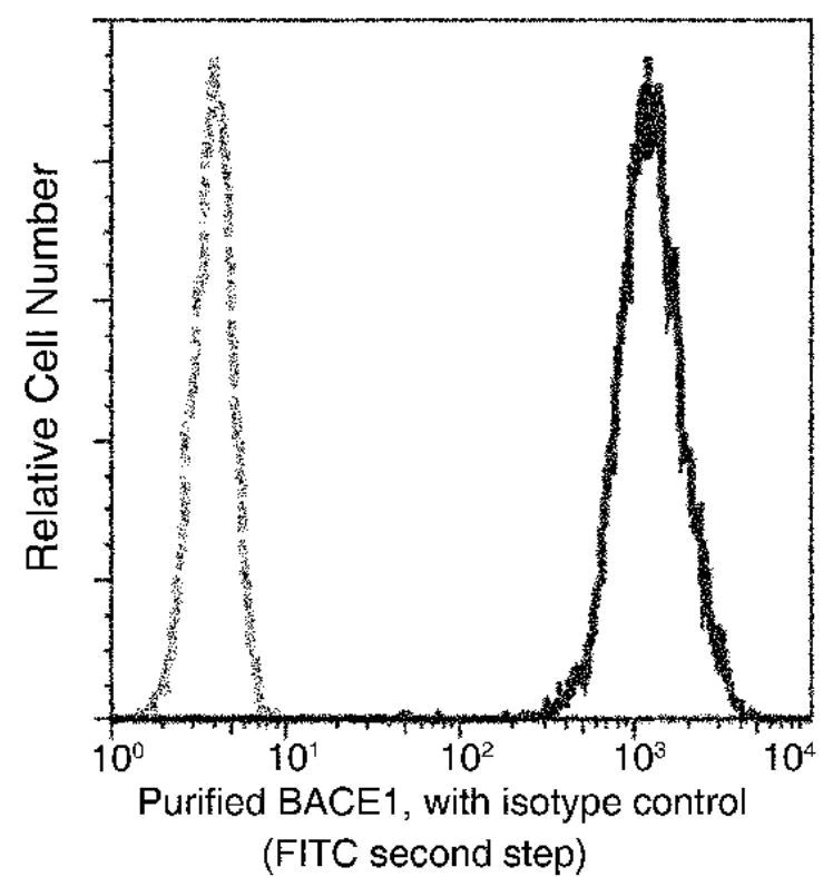 Flow Cytometry (Intracellular) - Anti-BACE1 antibody [027] - BSA and Azide free (AB277127)