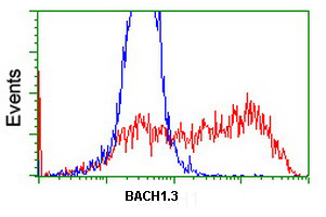 Flow Cytometry (Intracellular) - Anti-BACH1.3 antibody [OTI4E11] (AB128486), expandable thumbnail