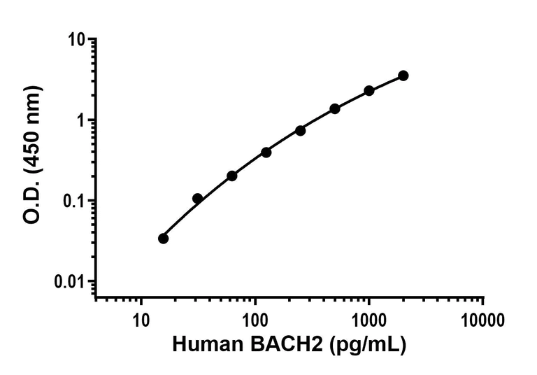 Sandwich ELISA - Anti-BACH2 antibody [EPR28026-24] - BSA and Azide free (Capture) (AB318218)
