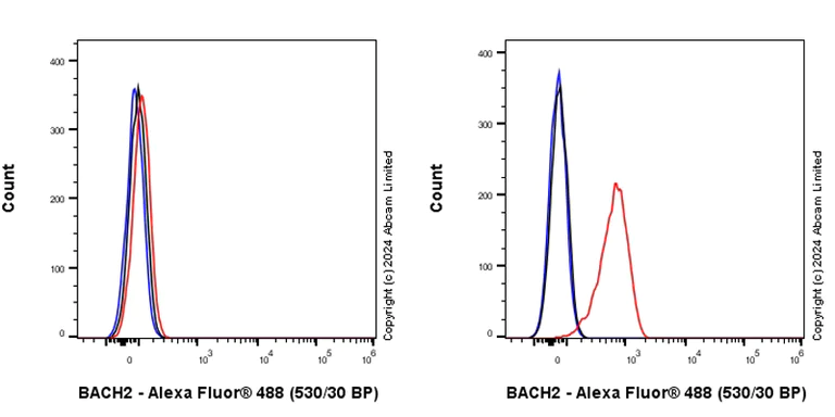 Flow Cytometry (Intracellular) - Anti-BACH2 antibody [EPR28026-43] (AB320721)