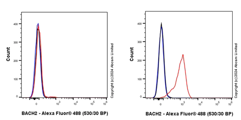 Flow Cytometry (Intracellular) - Anti-BACH2 antibody [EPR28026-43] (AB320721)