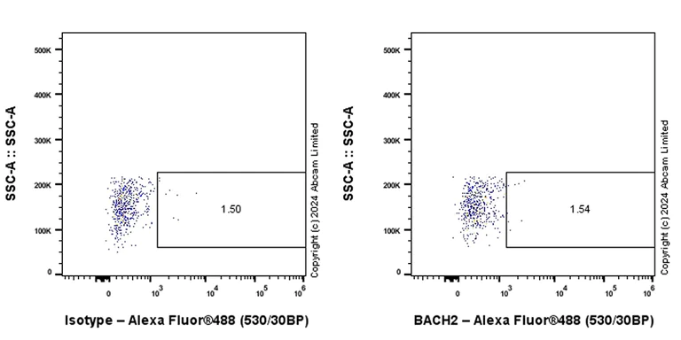 Flow Cytometry (Intracellular) - Anti-BACH2 antibody [EPR28026-43] (AB320721)