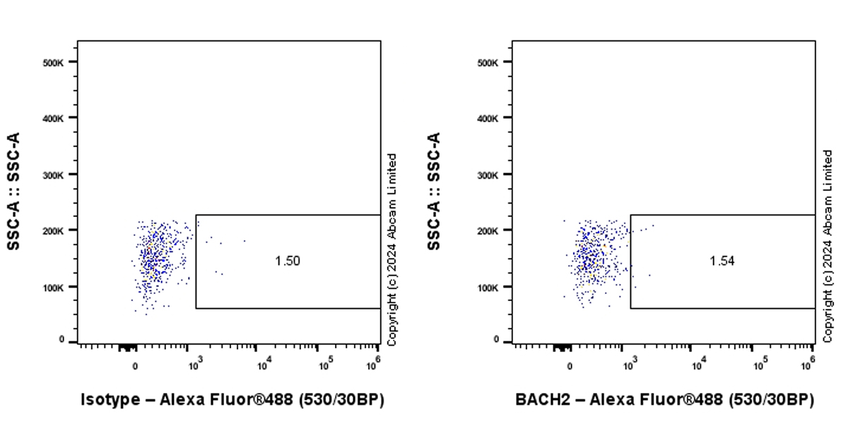 Flow Cytometry (Intracellular) - Anti-BACH2 antibody [EPR28026-43] - BSA and Azide free (ab320722), expandable thumbnail