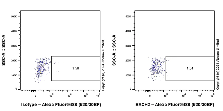 Flow Cytometry (Intracellular) - Anti-BACH2 antibody [EPR28026-43] - BSA and Azide free (AB320722)