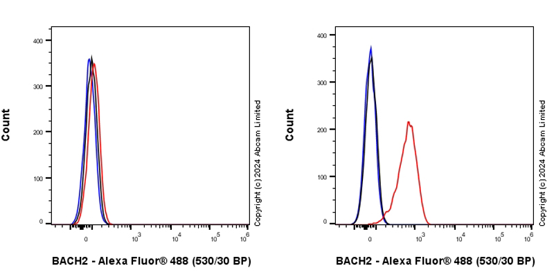Flow Cytometry (Intracellular) - Anti-BACH2 antibody [EPR28026-43] - BSA and Azide free (ab320722), expandable thumbnail
