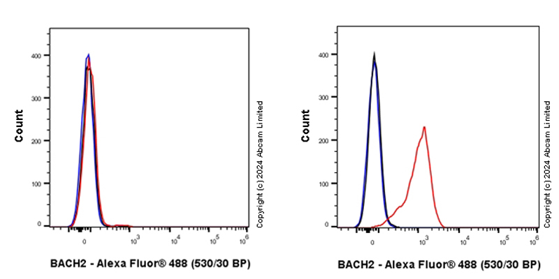 Flow Cytometry (Intracellular) - Anti-BACH2 antibody [EPR28026-43] - BSA and Azide free (ab320722), expandable thumbnail