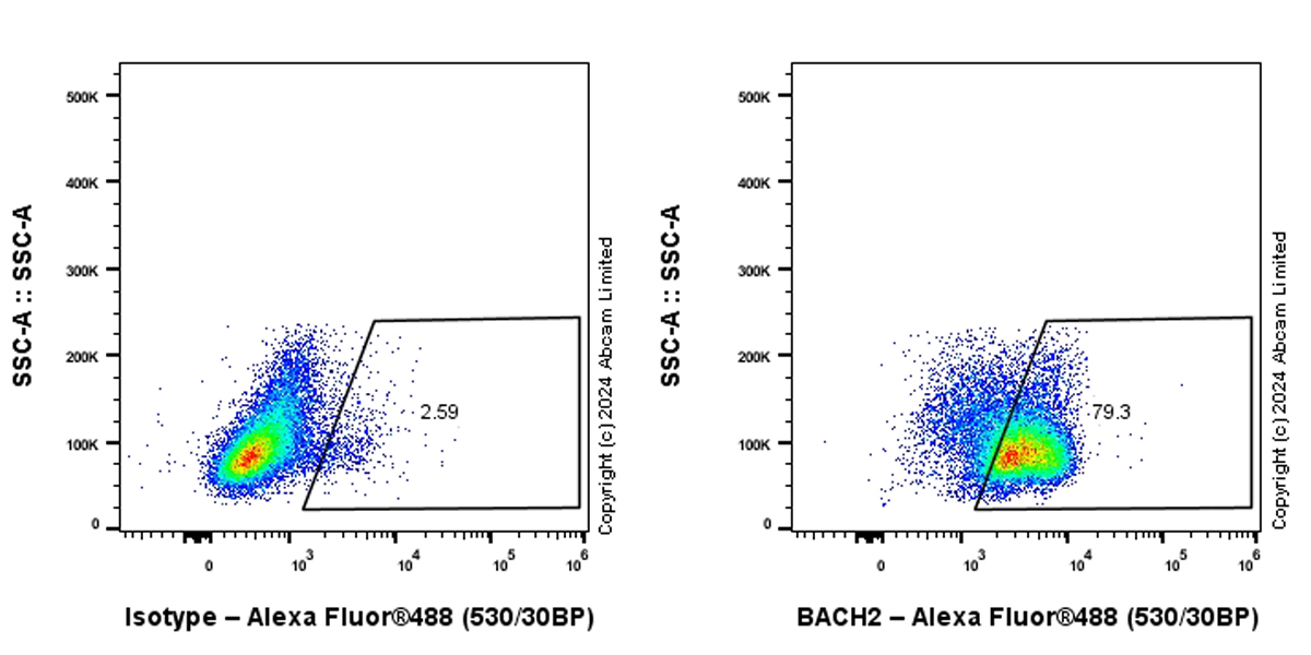 Flow Cytometry (Intracellular) - Anti-BACH2 antibody [EPR28026-43] - BSA and Azide free (AB320722), expandable thumbnail