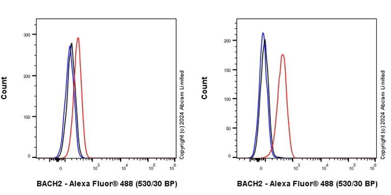 Flow Cytometry (Intracellular) - Anti-BACH2 antibody [EPR28026-43] - BSA and Azide free (AB320722)