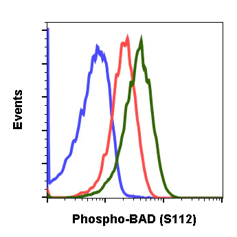 Flow Cytometry - Anti-Bad (phospho S112) antibody [BADS112-B9] (AB278558)