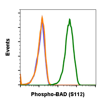 Flow Cytometry - Anti-Bad (phospho S112) antibody [BADS112-B9] (AB278558)