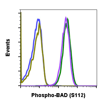 Flow Cytometry - Anti-Bad (phospho S112) antibody [BADS112-B9] (AB278558)