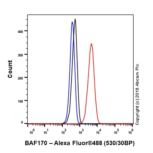 Flow Cytometry (Intracellular) - Anti-BAF170 antibody [EPR23066-21] - BSA and Azide free (AB263871)