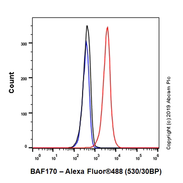 Flow Cytometry (Intracellular) - Anti-BAF170 antibody [EPR23066-21] - BSA and Azide free (AB263871)