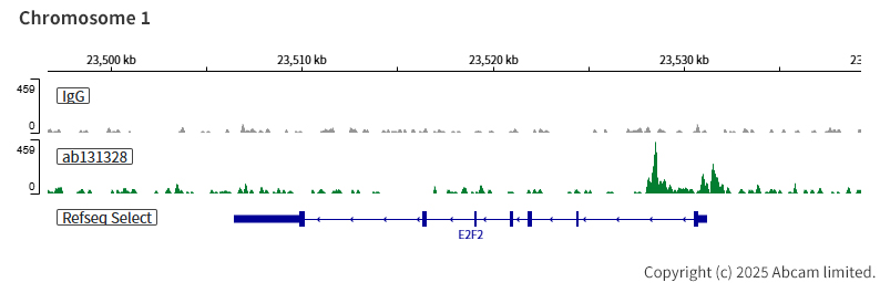 ChIC/CUT&RUN sequencing - Anti-BAF57/SMARCE1 antibody [EPR8848] (ab131328), expandable thumbnail