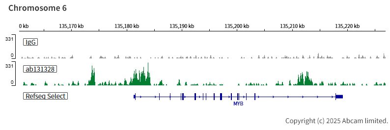 ChIC/CUT&RUN sequencing - Anti-BAF57/SMARCE1 antibody [EPR8848] (ab131328), expandable thumbnail