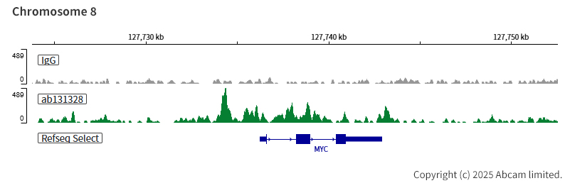 ChIC/CUT&RUN sequencing - Anti-BAF57/SMARCE1 antibody [EPR8848] (ab131328), expandable thumbnail