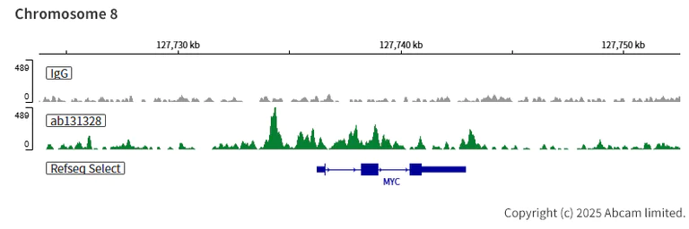 ChIC/CUT&RUN sequencing - Anti-BAF57/SMARCE1 antibody [EPR8848] (AB131328)