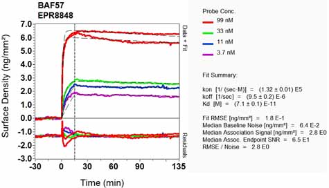 OI-RD Scanning - Anti-BAF57/SMARCE1 antibody [EPR8848] (ab131328), expandable thumbnail