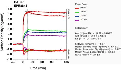 OI-RD Scanning - Anti-BAF57/SMARCE1 antibody [EPR8848] (AB131328)