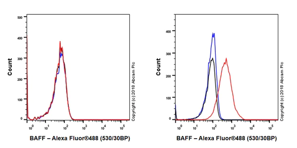Flow Cytometry - Anti-BAFF antibody [EPR22238] (AB224710)