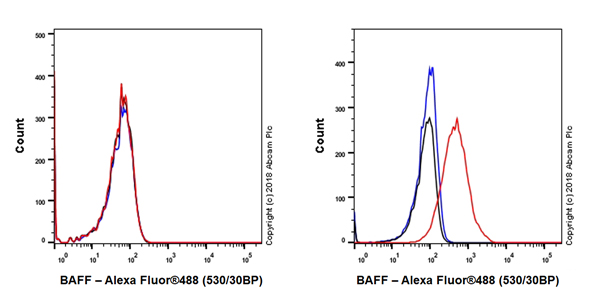 Flow Cytometry - Anti-BAFF antibody [EPR22238] - BSA and Azide free (AB245833)