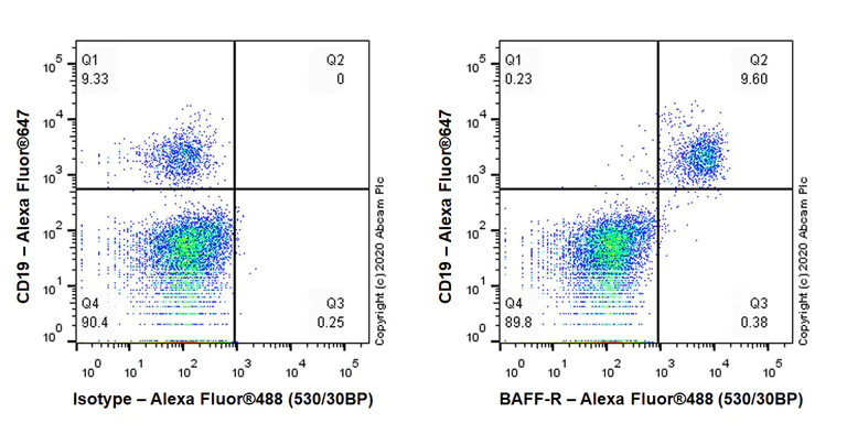Flow Cytometry - Anti-BAFF-R antibody [EPR23590-68] - BSA and Azide free (AB273572)