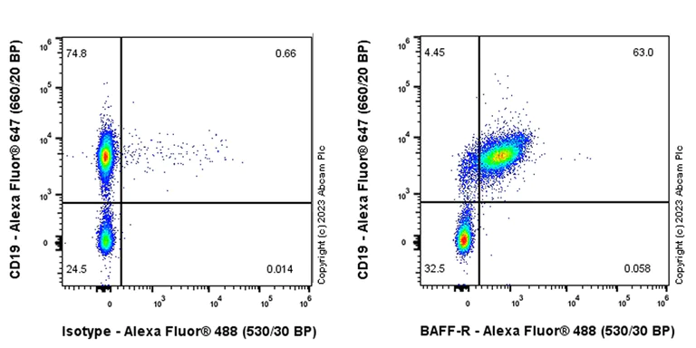 Flow Cytometry - Anti-BAFF-R antibody [EPR26054-53] - BSA and Azide free (AB315441)