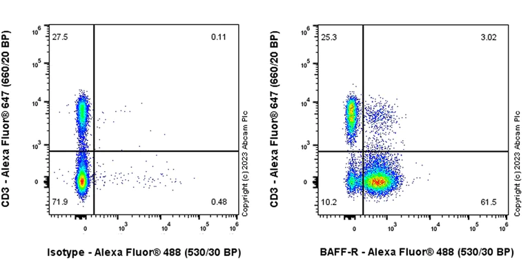Flow Cytometry - Anti-BAFF-R antibody [EPR26054-53] - BSA and Azide free (AB315441)